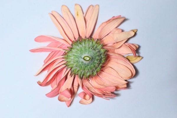 昆侖健康青春多倍版的承保公司怎么樣？有什么特點(diǎn)？