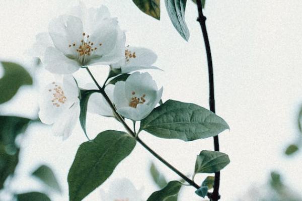昆侖健康保險(xiǎn)歲享金生終身護(hù)理保險(xiǎn)怎么樣？有哪些優(yōu)缺點(diǎn)？