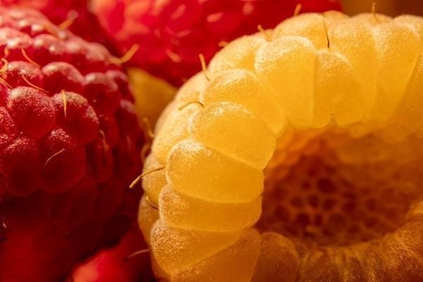 重疾險(xiǎn)退保怎樣可以退全款？退保流程有哪些？
