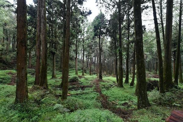 2023天津醫(yī)保意外險報銷流程是什么？范圍有哪些？