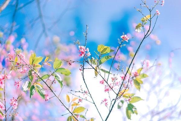 400元意外險(xiǎn)是怎么賠付？怎么買？