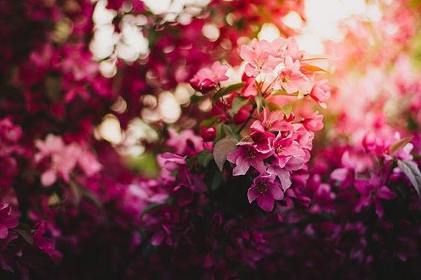 視網(wǎng)膜脫落可以報意外險嗎？意外險怎么理賠？