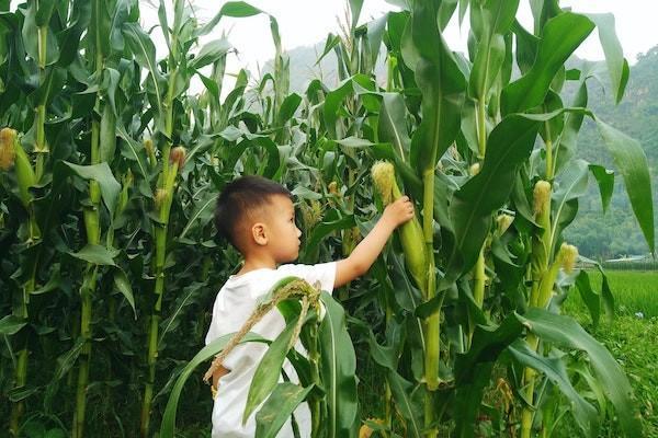 太平洋意外險怎么查詢？怎么查詢繳費記錄？