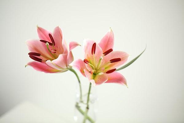 意外險沒有發(fā)票能報銷嗎？報銷流程是什么？