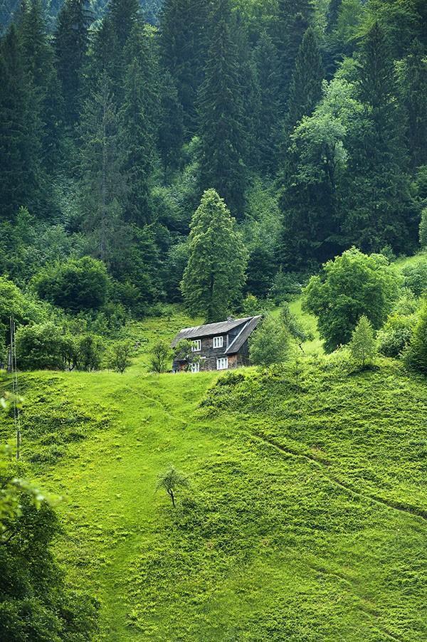 被螞蟻咬了算意外險(xiǎn)嗎？意外險(xiǎn)怎么理賠？