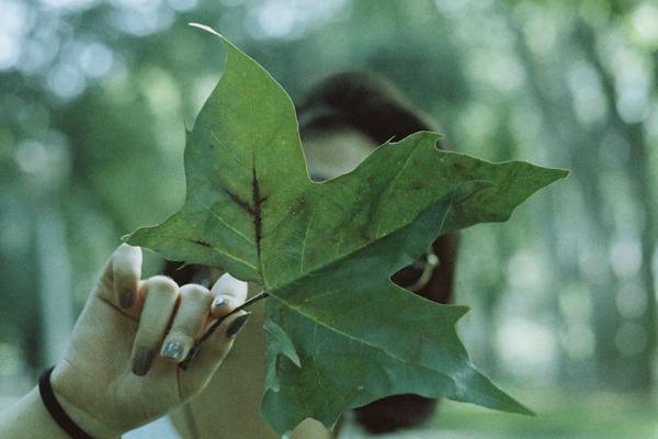 意外保險(xiǎn)生病住院能報(bào)銷嗎？報(bào)銷流程是什么？