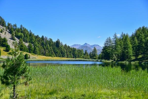 夏令營意外險多少錢？怎么買？