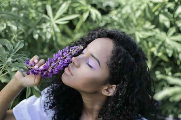 貓抓了意外保險報銷嗎？如何報銷？