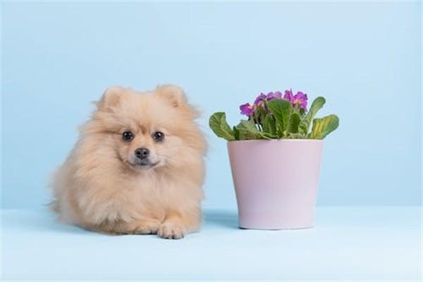 6類意外保險是什么意思？值得買嗎？