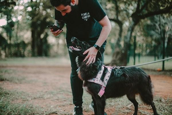 打狂犬疫苗意外保險(xiǎn)報(bào)銷嗎？比例是多少？