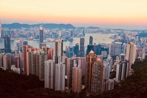京東白條起訴了怎么辦，率高嗎