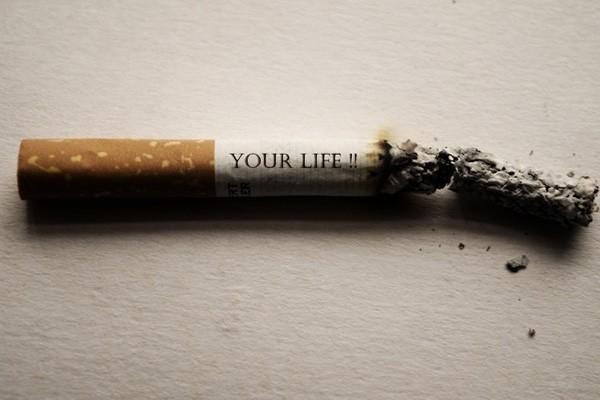 支付寶逾期能不能協(xié)商停止催收業(yè)務(wù)，了能不能協(xié)商減免