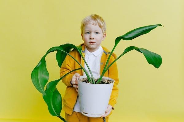 兒童住院商業(yè)保險報銷流程是怎樣的？報銷需要什么材料？