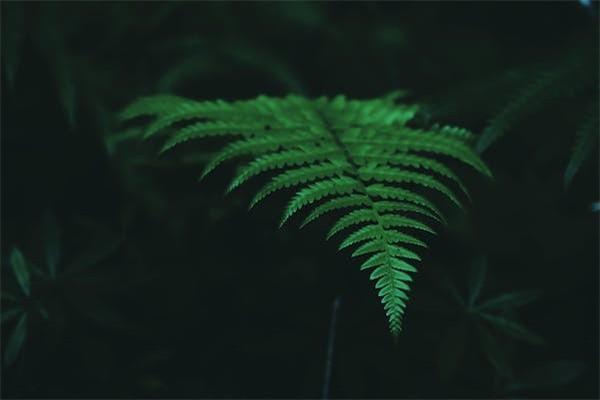 商業(yè)險可以出險幾次？出險有影響嗎？