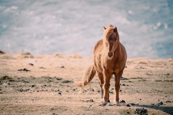 防貧保險賠付標準是多少？賠付流程是什么？