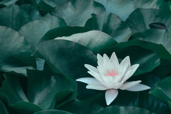 單位大病醫(yī)療保險報(bào)銷范圍有哪些？要交多少錢？