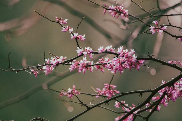 除了新農(nóng)合還有什么醫(yī)療保險可以買？醫(yī)療保險一般多少錢