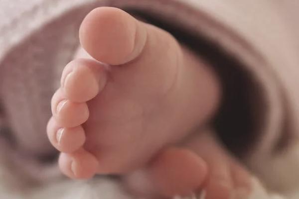 人壽百萬如意行兩全保險的優(yōu)缺點是什么？如何購買？