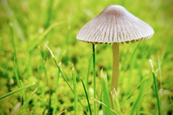 保險公司與銀行哪個更安全？區(qū)別是什么？