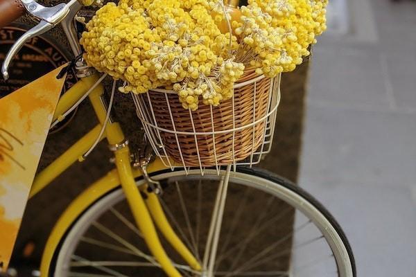 人壽大病醫(yī)療保險報銷范圍有哪些？報銷比例是多少？