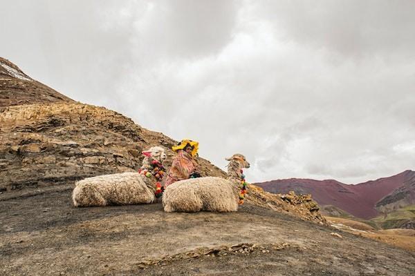 醫(yī)保報銷后商業(yè)保險還能報銷多少？怎么報銷？