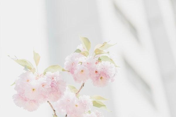有腦梗病史的人買什么保險好？買保險應(yīng)該怎么買？
