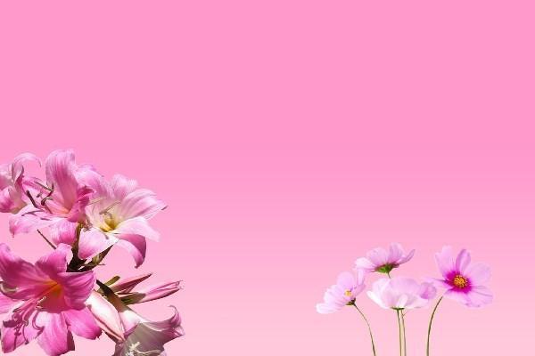 養(yǎng)老保險交了三十年可以停嗎？停繳手續(xù)怎么辦理？