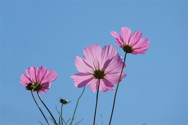 醫(yī)療保險(xiǎn)能不能退？退保的流程有哪些？