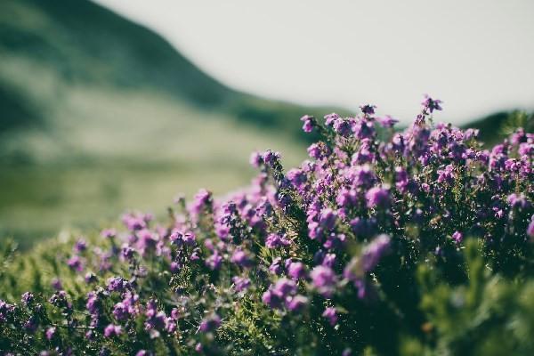 保險退保可以退到別人賬戶嗎？退保的流程都有哪些呢？