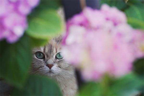 國網(wǎng)英大保險(xiǎn)怎么樣？靠譜嗎？