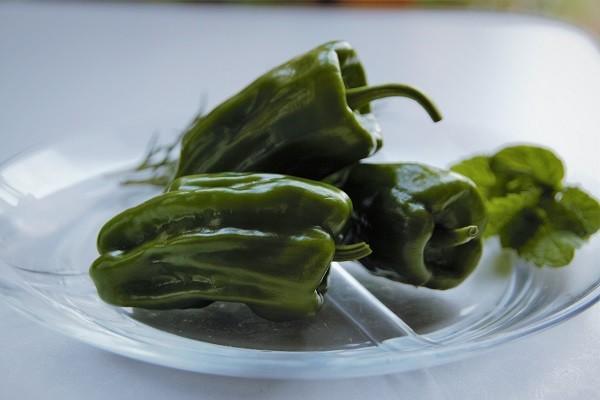 餐飲員工意外險(xiǎn)一年多少錢？保障范圍是什么？