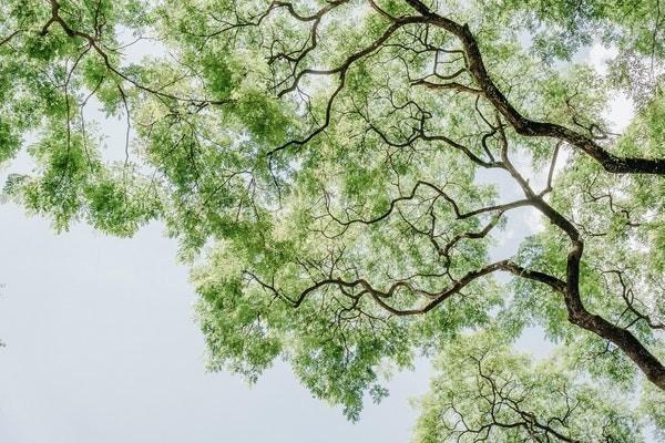 大病保險的起付線是多少？是什么意思？