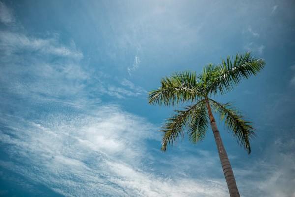 太平洋金佑人生2017b款想退保能退多少？怎么退呢？