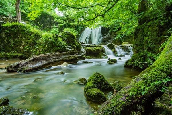 元保保險(xiǎn)0.6元投保是真的嗎？可靠嗎？