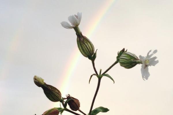 孝順保中老年醫(yī)療險投保規(guī)則有哪些？值得買嗎？