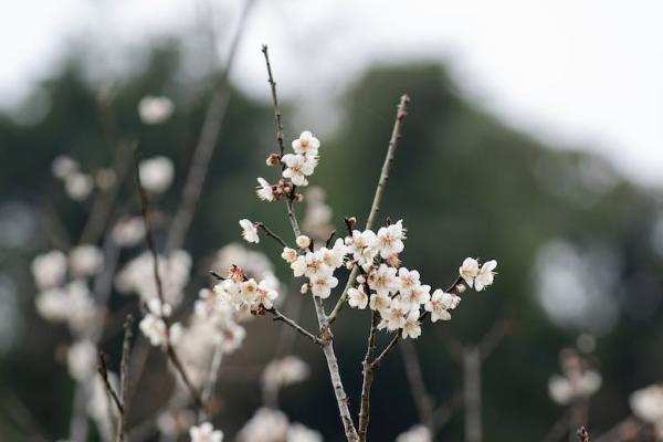 孝無(wú)憂特定疾病醫(yī)療保險(xiǎn)怎么樣？有什么優(yōu)點(diǎn)？