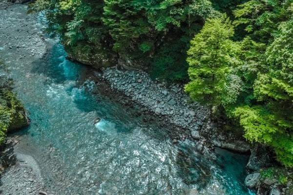 財(cái)信人壽退保流程是怎樣的？能退多少錢？
