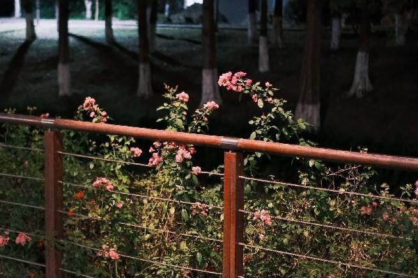 太平洋保險(xiǎn)電話退保怎么操作？退保材料是什么？