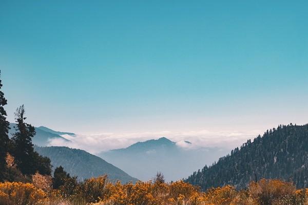 意外險(xiǎn)脾切除能賠償多少？賠償流程是怎樣的？