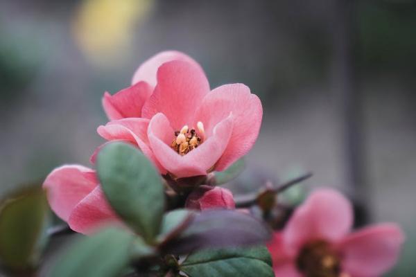 遼寧醫(yī)療保險怎么交？一年交多少錢？