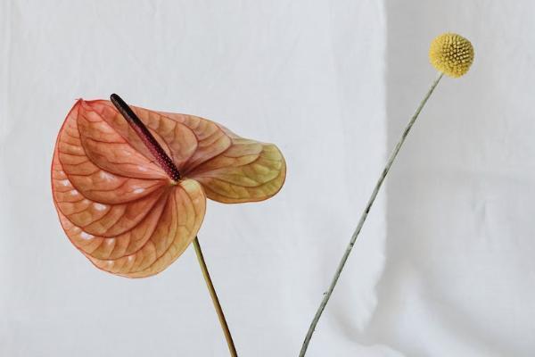 北京社保退保手續(xù)怎么辦理？一年多少錢？
