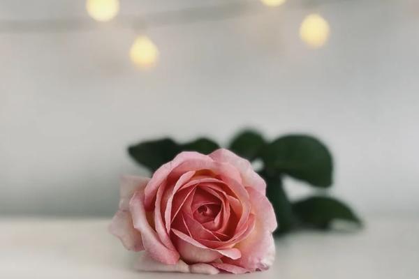 國壽附加康寧少兒兩全保險保什么？有必要買嗎？