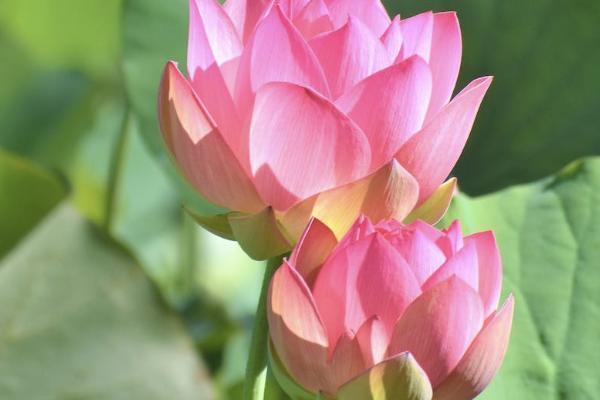 幸福人壽保險(xiǎn)公司可靠嗎？正規(guī)嗎？