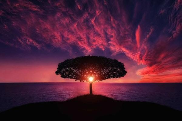 保險(xiǎn)退保之后生存金能拿到嗎？退保的流程有哪些？