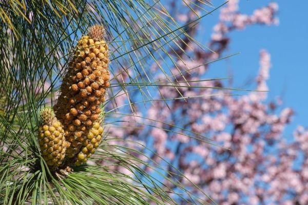 安心住院保險有哪些投保規(guī)則？保障范圍是怎樣的？
