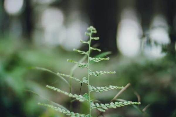 國泰產(chǎn)險孝順保中老年醫(yī)療險適合誰買？一年價格多少？
