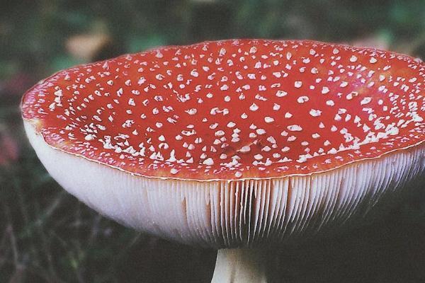交了兩年商業(yè)保險不想交了怎么退保？退保能退多少錢？