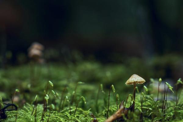 保險不給退錢怎么辦？怎樣退最劃算？