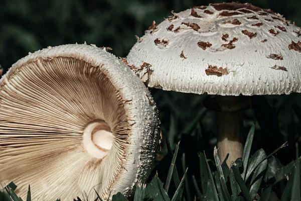 企業(yè)為員工購買商業(yè)保險的意義是什么？怎么買？