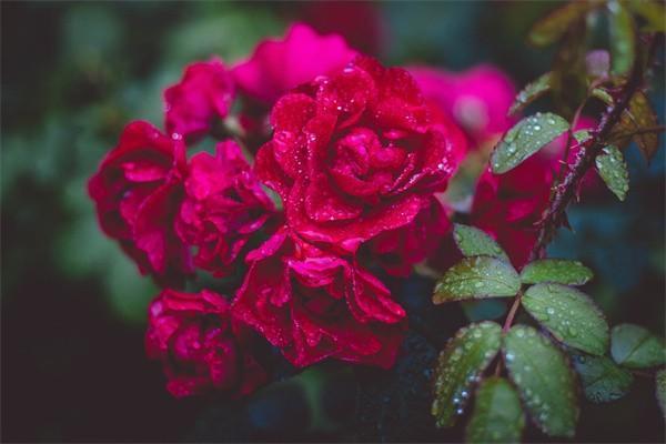 保險(xiǎn)公司貸款靠譜嗎？貸款利息是多少？
